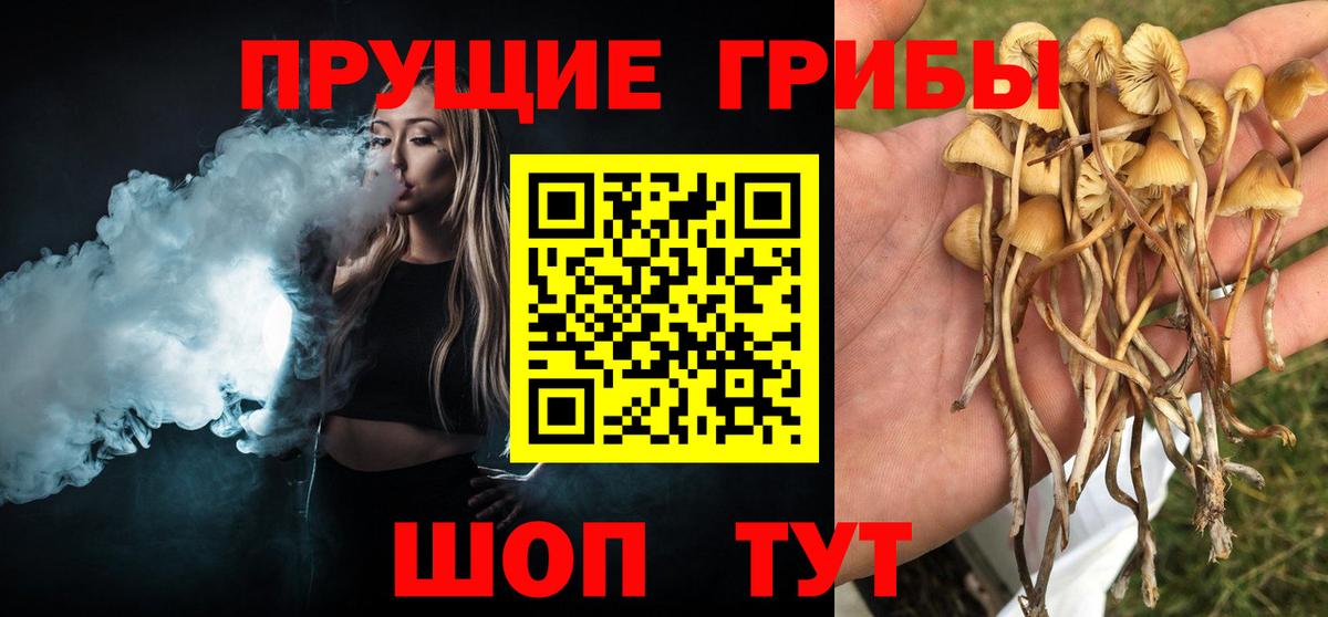 Псилоцибиновые грибы мицелий  Псилоцибиновые грибы Magic Shrooms  Вход с VPN  Зеленокумск 